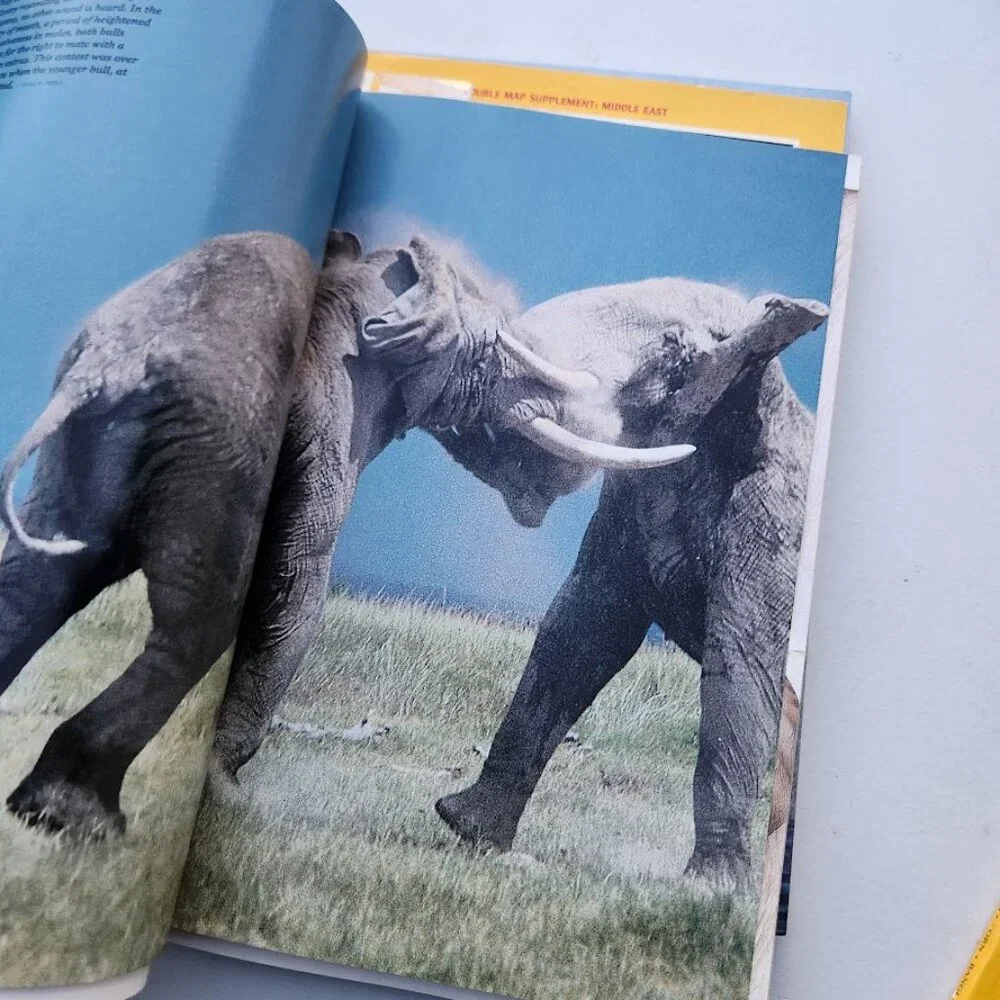 2X Vintage National Geographic Magazine Bundle Set Magazines Random 2 Magazines